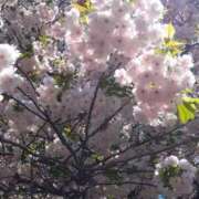 ヒメ日記 2025/04/17 08:15 投稿 ゆま 横浜おかあさん