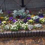 ヒメ日記 2025/04/17 16:15 投稿 ゆま 横浜おかあさん