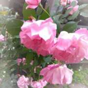 ヒメ日記 2025/04/24 16:05 投稿 ゆま 横浜おかあさん