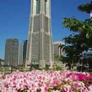 ヒメ日記 2025/04/28 08:35 投稿 ゆま 横浜おかあさん