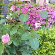 ヒメ日記 2025/05/02 08:36 投稿 ゆま 横浜おかあさん