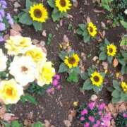 ヒメ日記 2025/05/20 07:47 投稿 ゆま 横浜おかあさん