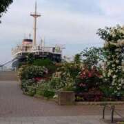 ヒメ日記 2025/05/23 07:42 投稿 ゆま 横浜おかあさん