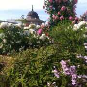 ヒメ日記 2025/05/23 16:05 投稿 ゆま 横浜おかあさん