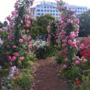 ヒメ日記 2025/05/29 16:05 投稿 ゆま 横浜おかあさん