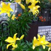 ヒメ日記 2025/06/05 08:15 投稿 ゆま 横浜おかあさん