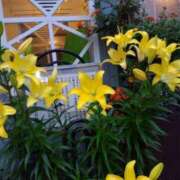 ヒメ日記 2025/06/06 16:25 投稿 ゆま 横浜おかあさん