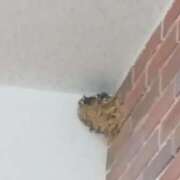 ヒメ日記 2025/06/08 08:15 投稿 ゆま 横浜おかあさん