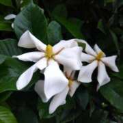 ヒメ日記 2025/06/12 20:15 投稿 ゆま 横浜おかあさん