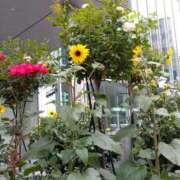 ヒメ日記 2025/06/16 08:05 投稿 ゆま 横浜おかあさん