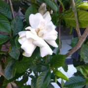 ヒメ日記 2025/06/23 18:15 投稿 ゆま 横浜おかあさん