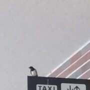 ヒメ日記 2025/07/04 08:18 投稿 ゆま 横浜おかあさん