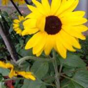 ヒメ日記 2025/07/11 08:15 投稿 ゆま 横浜おかあさん