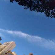 ヒメ日記 2025/07/20 08:35 投稿 ゆま 横浜おかあさん