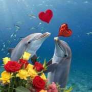 ヒメ日記 2025/09/02 16:15 投稿 ゆま 横浜おかあさん