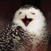 ヒメ日記 2025/09/04 08:21 投稿 ゆま 横浜おかあさん