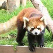 ヒメ日記 2025/09/05 16:05 投稿 ゆま 横浜おかあさん