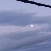 ヒメ日記 2025/10/10 16:05 投稿 ゆま 横浜おかあさん