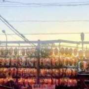 ヒメ日記 2025/11/25 08:35 投稿 ゆま 横浜おかあさん