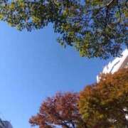 ヒメ日記 2025/12/15 16:15 投稿 ゆま 横浜おかあさん