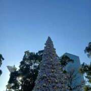 ヒメ日記 2025/12/22 08:35 投稿 ゆま 横浜おかあさん