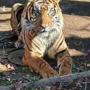 ヒメ日記 2026/01/09 08:45 投稿 ゆま 横浜おかあさん