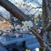 ゆま おはようございます 横浜おかあさん