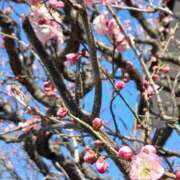 ヒメ日記 2026/01/18 08:45 投稿 ゆま 横浜おかあさん