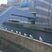 ヒメ日記 2026/01/22 08:35 投稿 ゆま 横浜おかあさん