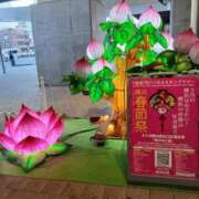 ヒメ日記 2026/01/30 08:35 投稿 ゆま 横浜おかあさん