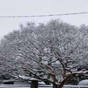 ヒメ日記 2026/02/09 07:15 投稿 ゆま 横浜おかあさん