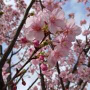 ヒメ日記 2026/02/27 08:35 投稿 ゆま 横浜おかあさん