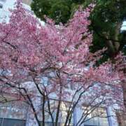 ヒメ日記 2026/03/09 08:25 投稿 ゆま 横浜おかあさん