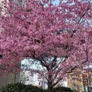 ヒメ日記 2026/03/22 08:35 投稿 ゆま 横浜おかあさん