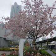 ヒメ日記 2026/03/28 08:36 投稿 ゆま 横浜おかあさん