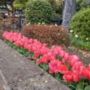 ヒメ日記 2026/04/06 16:15 投稿 ゆま 横浜おかあさん