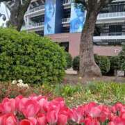 ヒメ日記 2026/04/16 18:35 投稿 ゆま 横浜おかあさん