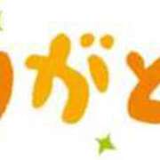 なつめ 8月はありがとうございます😊 横浜人妻花壇本店