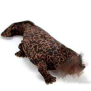 ヒメ日記 2026/01/25 18:08 投稿 あさひ 静岡♂風俗の神様 静岡店