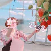 ヒメ日記 2025/02/07 12:50 投稿 ゆうか 錦糸町人妻セレブリティ（ユメオト）