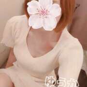 ヒメ日記 2025/04/19 16:28 投稿 ゆうか 錦糸町人妻セレブリティ（ユメオト）