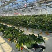 ヒメ日記 2025/04/14 20:02 投稿 しき パリス雄琴店