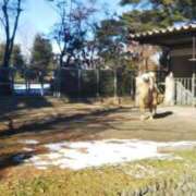 ヒメ日記 2025/01/20 17:34 投稿 みはる 熟女の風俗最終章 仙台店