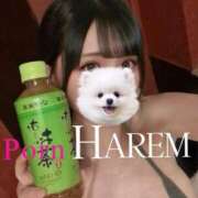 ヒメ日記 2026/02/22 16:44 投稿 てぃな Porn HAREM 熊谷店