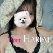 ヒメ日記 2026/03/03 11:04 投稿 てぃな Porn HAREM 熊谷店