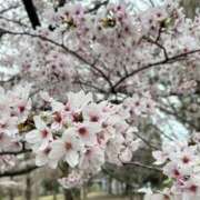 ヒメ日記 2026/03/30 20:54 投稿 てぃな Porn HAREM 熊谷店