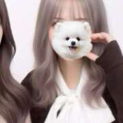 ヒメ日記 2026/04/10 15:04 投稿 てぃな Porn HAREM 熊谷店