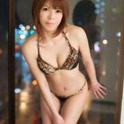 ヒメ日記 2025/07/16 21:37 投稿 リンカ(奥方) 奥様幕府