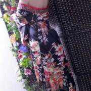 ヒメ日記 2025/07/19 22:57 投稿 リンカ(奥方) 奥様幕府