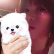 ヒメ日記 2025/08/10 05:03 投稿 リンカ(奥方) 奥様幕府